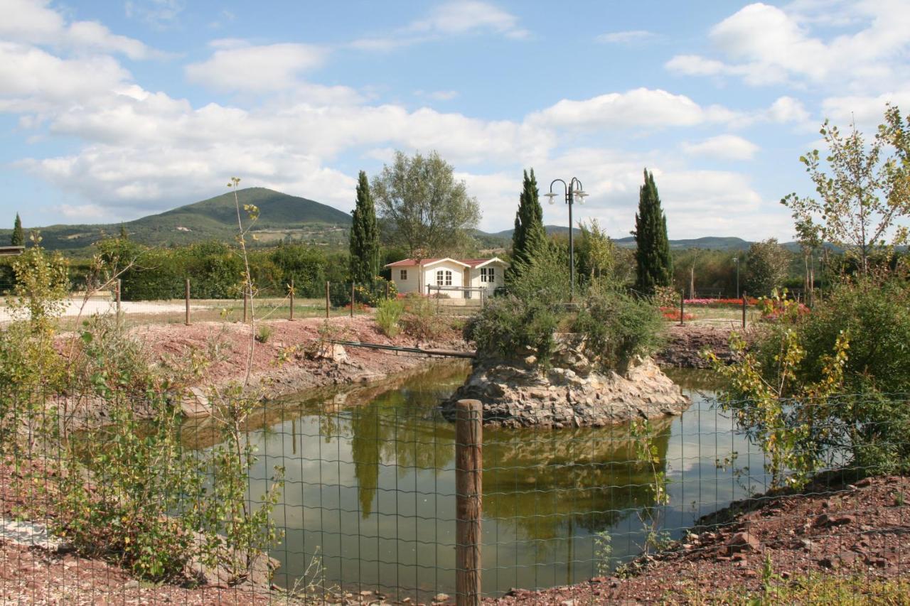 מלון ריפרבלה Glamping Debbiare מראה חיצוני תמונה